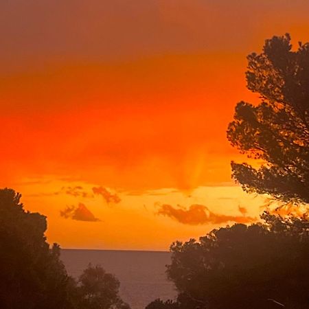 Maison Classee Sur Le Golfe De St Tropez Saint-Tropez Buitenkant foto