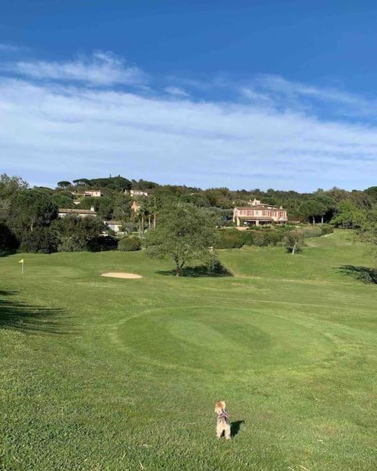 Maison Classee Sur Le Golfe De St Tropez Saint-Tropez Buitenkant foto