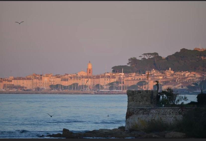 Maison Classee Sur Le Golfe De St Tropez Saint-Tropez Buitenkant foto